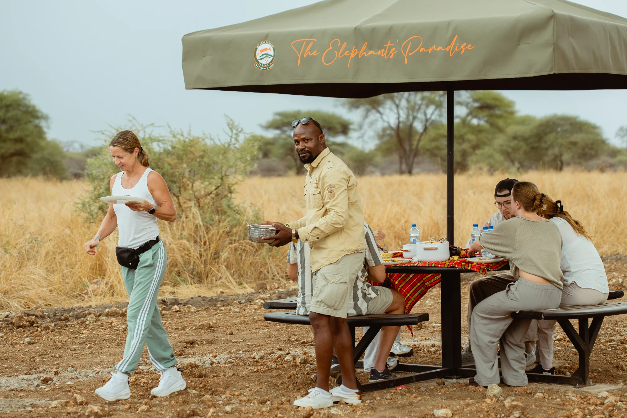 Serengeti wildlife safari scene